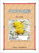 うみうし通信 No.105　PDF