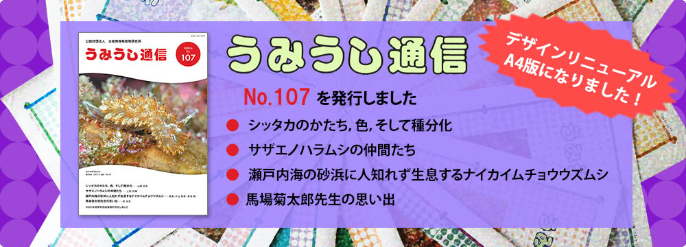 インスピレーション 無 脊椎 動物 一覧