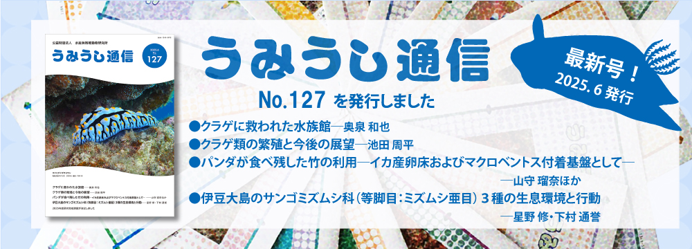 うみうし通信