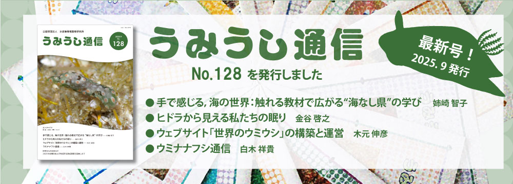 うみうし通信